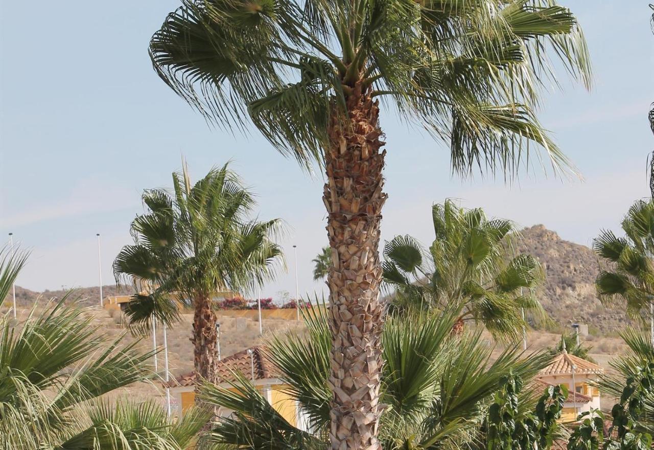 Mazarrón Villa Capricho מראה חיצוני תמונה